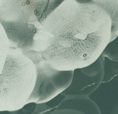 metniniz için alan içeren soyut boya arka planı