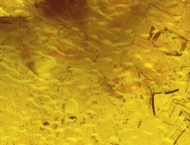 metin için alanı olan grunge arkaplanı