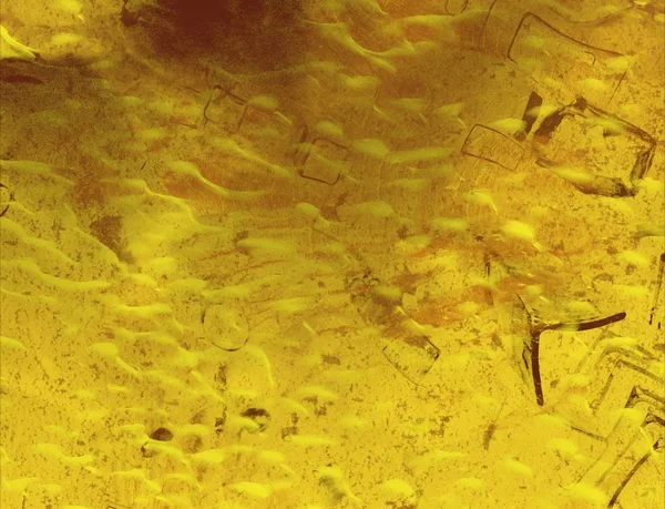 metin için alanı olan grunge arkaplanı