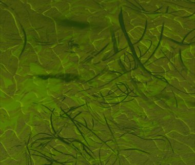 metin için alanı olan grunge arkaplanı 