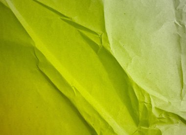 Yapraklı yeşil yapraklar