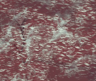 mimari sıva yüzey, dokulu arka plan 