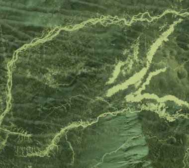 Beyaz arkaplanda yeşil yapraklar