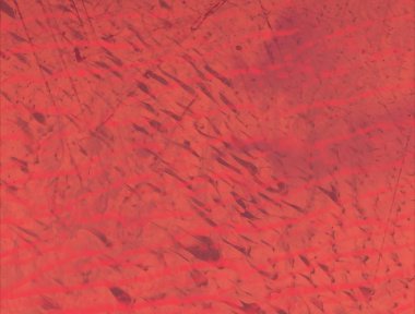 kopyalama alanı için renkli rustik suluboya arka plan