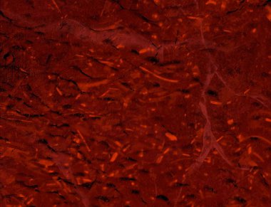 hasarlı sıva yüzeyi, dokulu arka plan