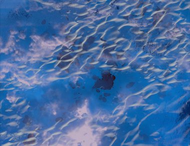 Metin için alanı olan soyut grunge arkaplanı