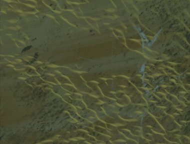 metin için alan ile soyut grunge malzeme arka plan