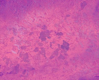 Harika pembe çok paneli sıva doku - soyut fotoğraf arka plan çizik