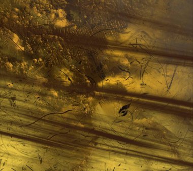 Metin için alanı olan soyut suluboya arkaplanı