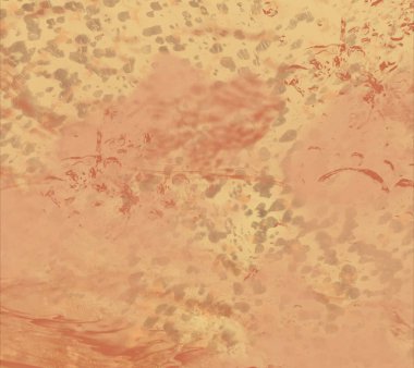 Metin için alanı olan soyut suluboya arkaplanı