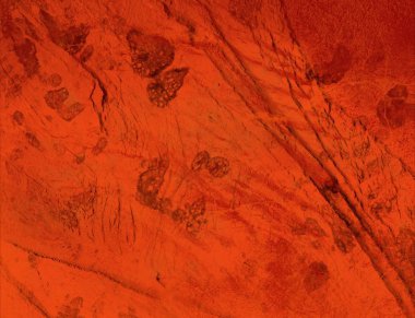 kopyalama alanı için yıpranmış suluboya arka plan