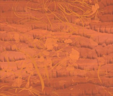 kopyalama alanı için yıpranmış suluboya arka plan