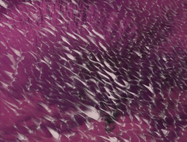 kopyalama alanı için yaşlı renkli rustik suluboya arka plan