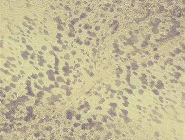 kopyalama alanı için yaşlı renkli rustik suluboya arka plan