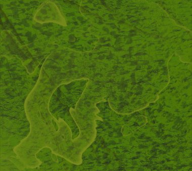 Yeşil yapraklı soyut arkaplan