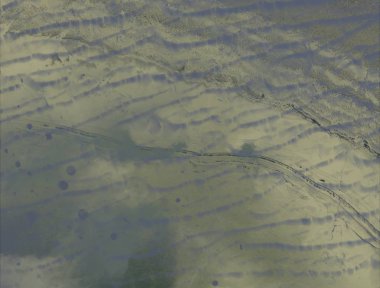 Yağlı boya ile soyut grunge arkaplan kaba desen lekeler