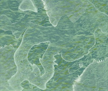 Suda yeşil yapraklar