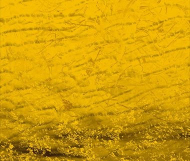 Renkli çiçek doku arka plan 