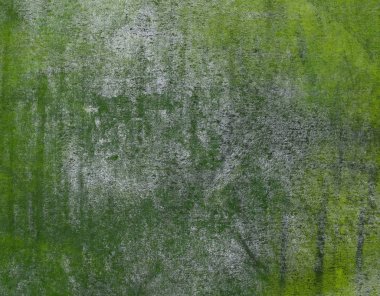 metin için alanı olan grunge doku arkaplanı