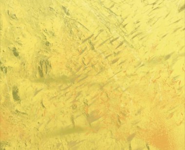 metin için alanı olan grunge arkaplanı