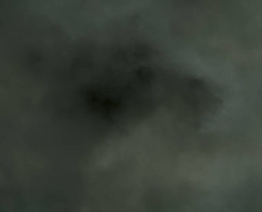 Gri bokeh doğa ormanlarından odak arka plan dışında