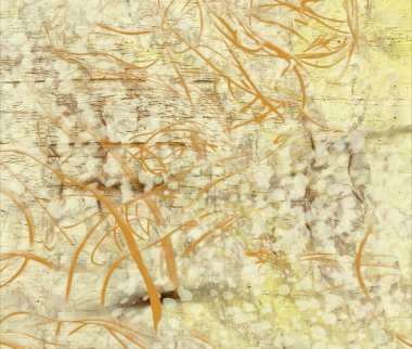 metin için alanı olan grunge arkaplanı