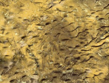 metin için alanı olan grunge arkaplanı