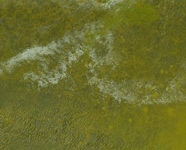 metin için alanı olan grunge arkaplanı