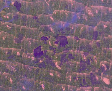 metin için alanı olan grunge arkaplanı