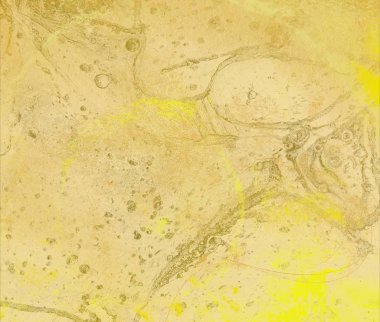 Boş grunge doku arka planı 