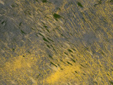 metin için alanı olan grunge arkaplanı