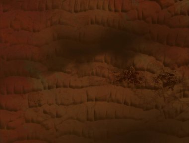 metin için alanı olan grunge arkaplanı