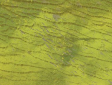 metin için alanı olan grunge arkaplanı