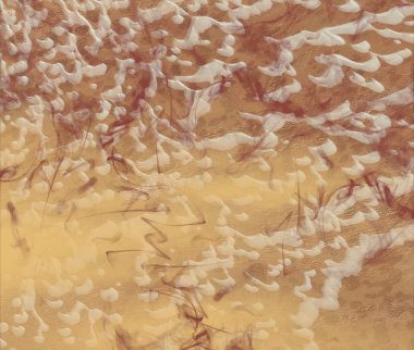 metin için alanı olan grunge arkaplanı