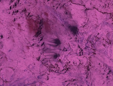 metin için alanı olan grunge arkaplanı