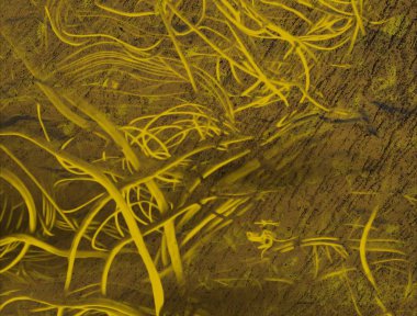 soyut renkli arkaplan, alanı kopyala  