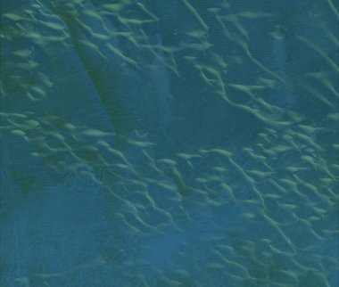 alan ile grunge doku arka plan