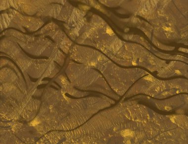 metin için alanı olan grunge arkaplanı