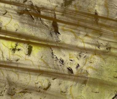 metin için alanı olan grunge arkaplanı