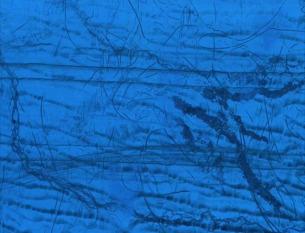 Kış ormanında kar