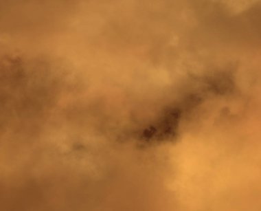 Tarlanın üzerinde parlayan sabah sisi