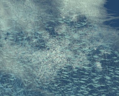 metin için alanı olan grunge arkaplanı