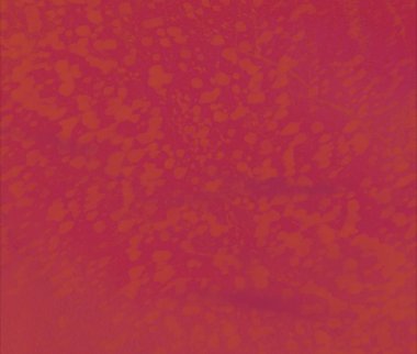 Metin için alanı olan soyut arkaplan