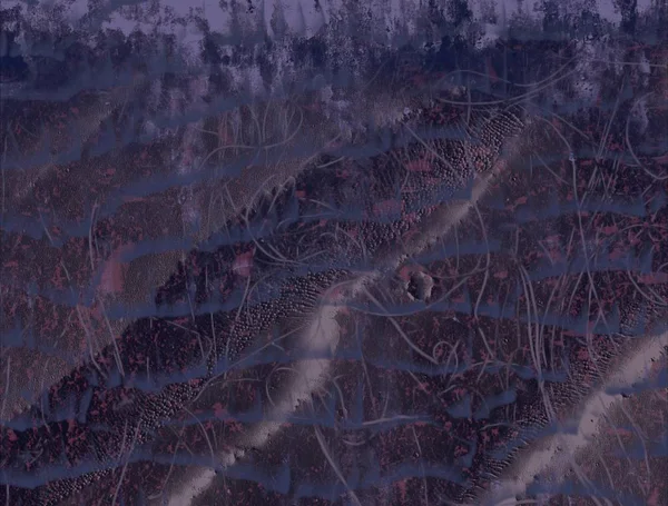 ormanın güzel arka plan