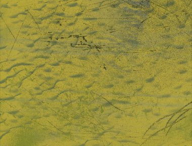 metin için alanı olan grunge arkaplanı