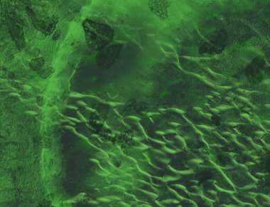 Metin için alanı olan soyut arkaplan