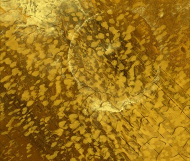 metin için alanı olan grunge arkaplanı