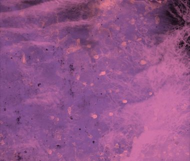 metin için alanı olan grunge arkaplanı