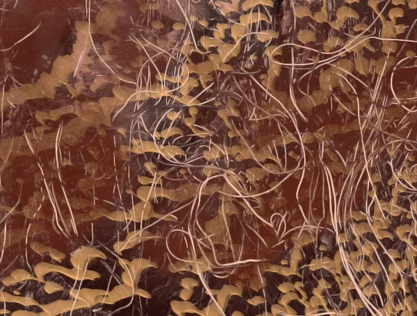 Sorunsuz antika arka plan