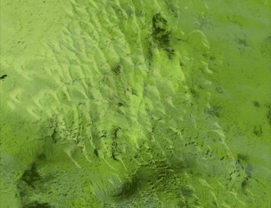 metin için alanı olan grunge arkaplanı